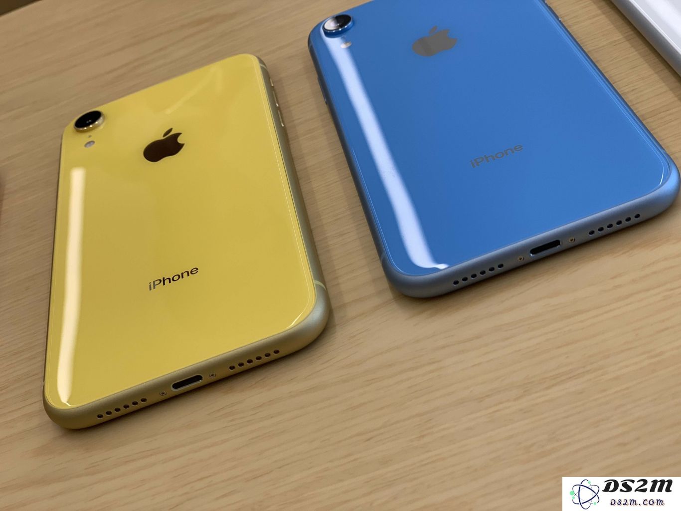 iPhone XR 即将开始预售，你准备选哪个颜色？