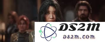光与影33号远征队吕涅选择哪种流派最为合适以提升队伍战力
