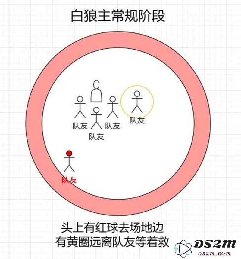 燕云十六声副本攻略 91白狼主蛇郎中天赋攻略：轻松过关技巧知道吗？绝对不容错过！