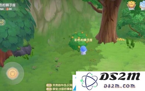 摩尔庄园手游橙色浆果在哪获得
