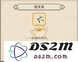 修真界的清灵草到底有什么神奇的用途？你真的了解它吗？