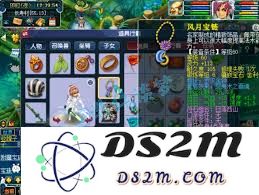 梦幻西游69方寸山怎么展示
