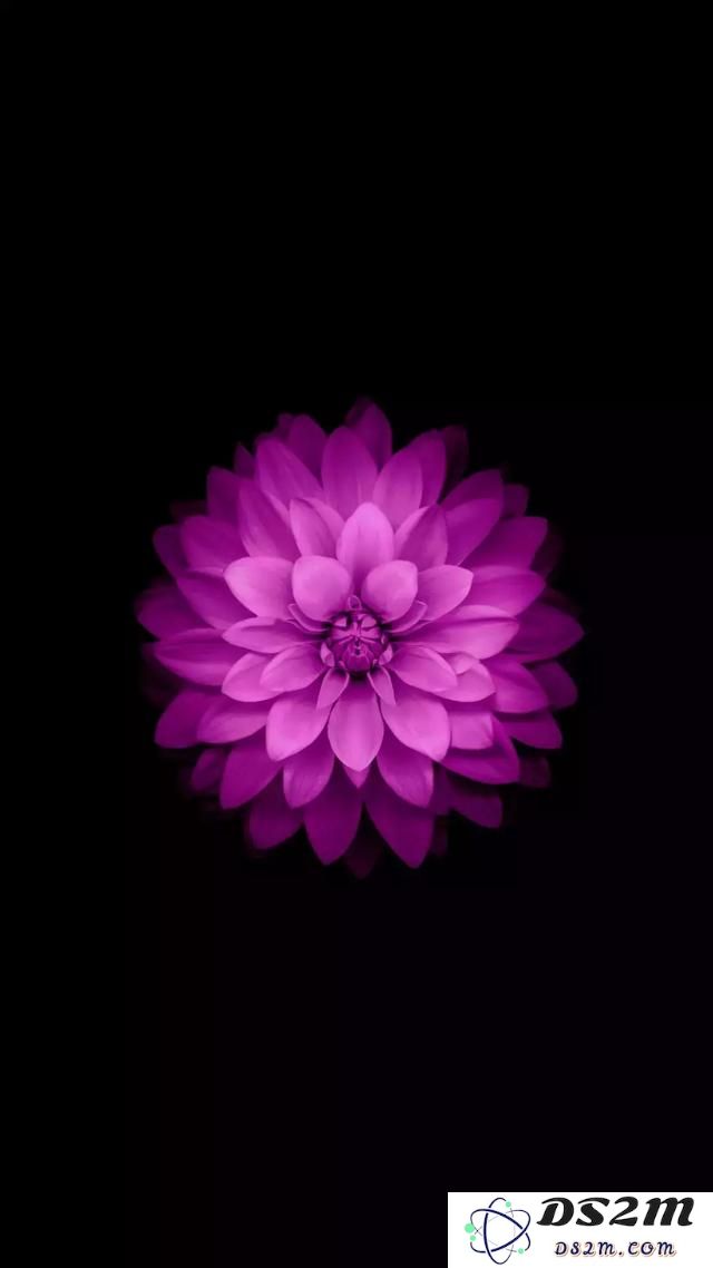 分享：苹果iPhone历代经典壁纸合集