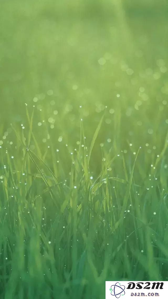 分享：苹果iPhone历代经典壁纸合集