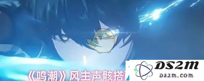 鸣潮风主声骸最佳搭配方案解析与角色装备推荐技巧
