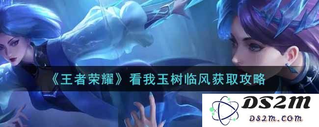 《王者荣耀》看我玉树临风获取攻略：教你如何轻松获取绝美皮肤，提升游戏体验