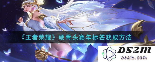 《王者荣耀》硬骨头赛年标签获取方法：绝佳策略与小窍门有哪些？