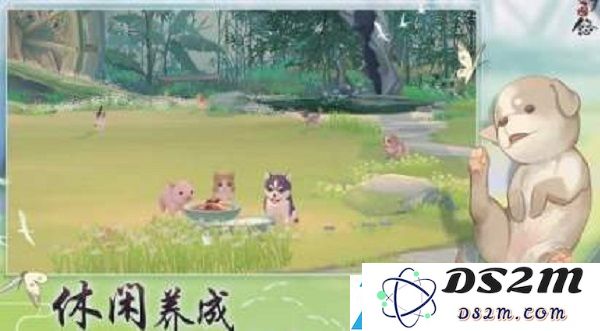 在江湖悠悠中如何提高宠物的心情与幸福感，让它们更加快乐健康