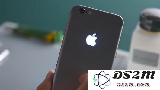 在当前市场中，哪款iPhone手机的性价比和功能最适合消费者购买？