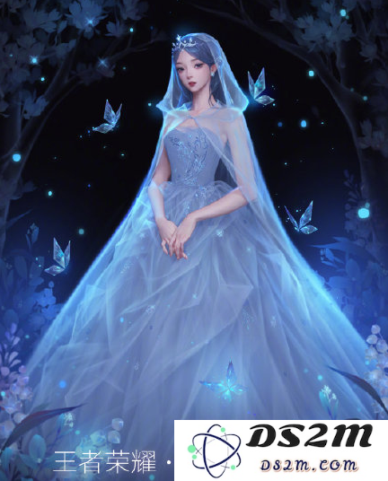 《王者荣耀》婚纱系列皮肤价格介绍：你想知道的秘密都在这里！心动不如行动