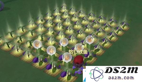 摩尔庄园手游萤火草怎么获得