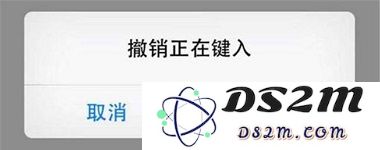 使用 iPhone X 时，哪种输入法最适合日常使用和效率提升？