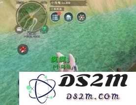 创造与魔法游戏中迷离虾有什么用 迷离虾作用：探索神秘水域的奇妙钥匙