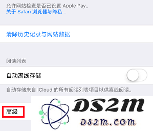 如何为 Safari 浏览器加速？