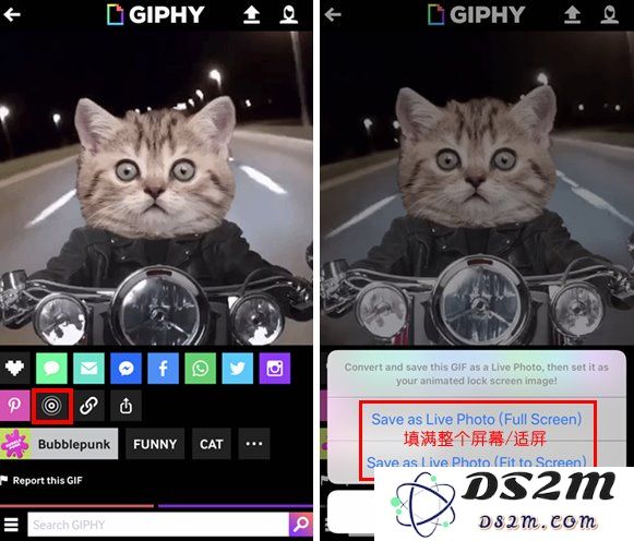 动起来！教你把苹果Live Photo玩出花