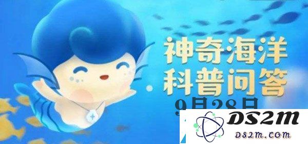 神奇海洋今日答案9.28：地球上首个出现的绿色植物究竟是哪些稀有物品的获取途径分析
