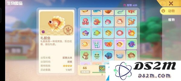 摩尔庄园手游礼服鱼在哪钓
