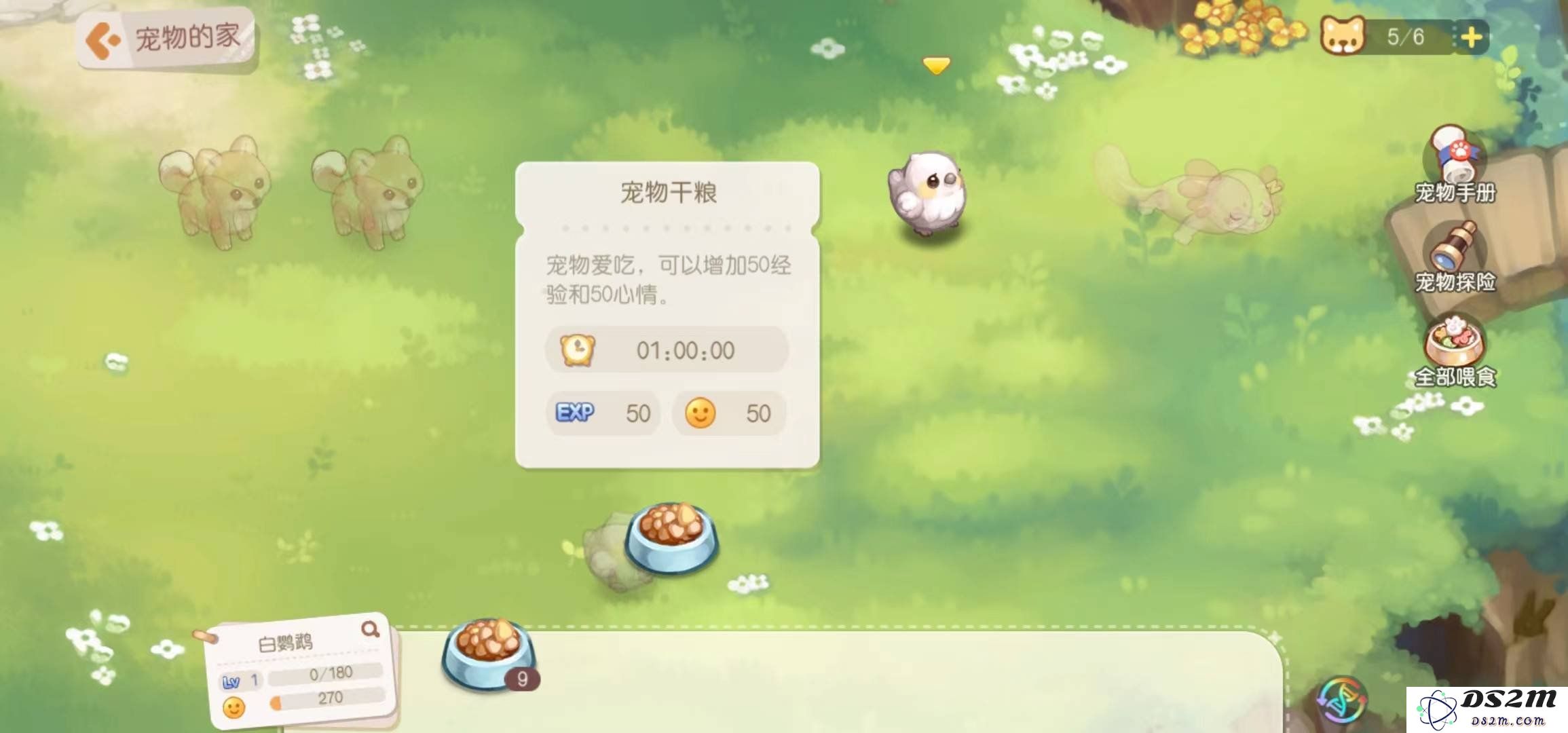 奥比岛手游游戏中的宠物有什么用 宠物的作用：你知道吗？让我们一起探索！
