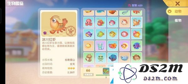摩尔庄园手游冰川红虾在哪钓