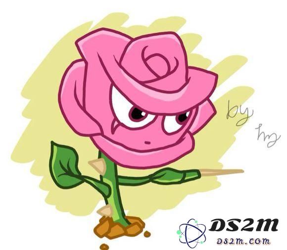 植物大战僵尸2玫瑰刺客好吗 技能及实用性分析