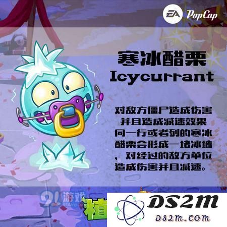 植物大战僵尸2寒冰醋栗怎么玩 植物大战僵尸2寒冰醋栗技能介绍