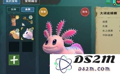 创造与魔法小顽皮位置在哪里 法小顽皮位置介绍：你知道吗？这个隐藏角落太神奇了