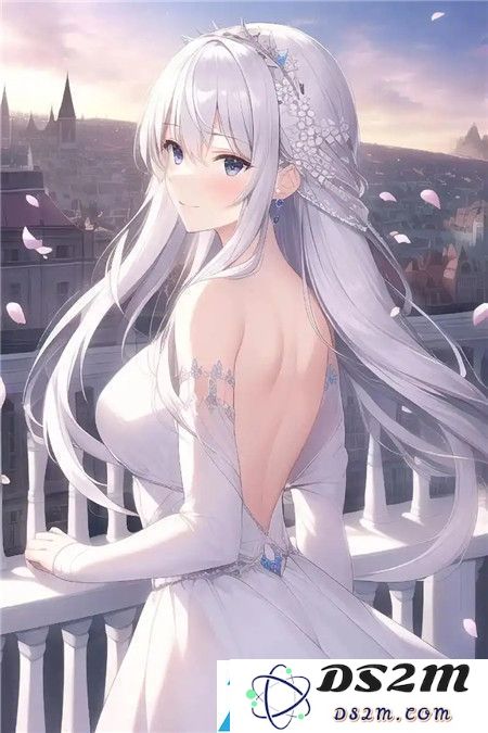 圣诞奇袭