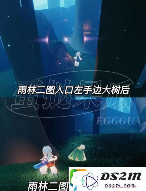 光遇探索之旅-深入密林遗迹探寻那些不为人知的隐藏地点