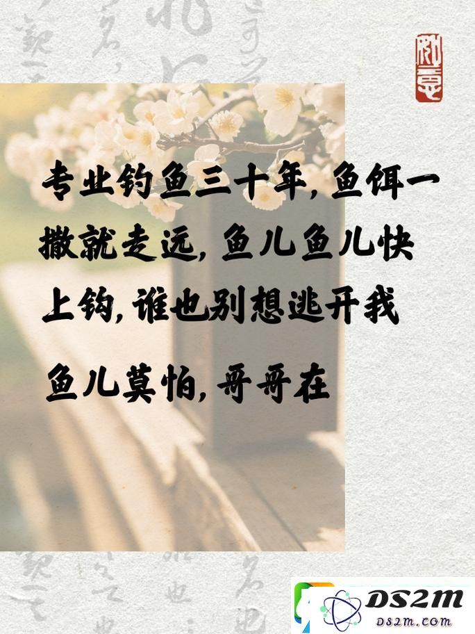 小毛的钓鱼宝典-放松心情享受生活-让钓鱼的乐趣在每一个指尖绽放