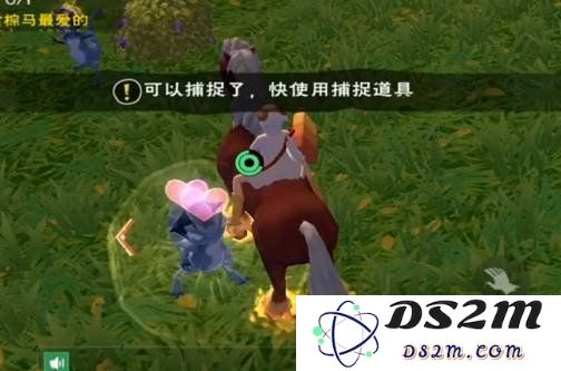 创造与魔法的蓝蜥蜴位置在哪 蓝蜥蜴位置攻略：一探蓝蜥蜴之谜！ 机不可失的秘境