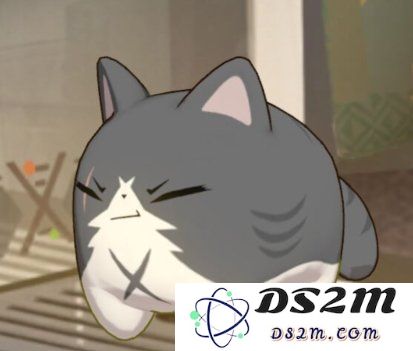 猫之城猫老大怎么培育 猫老大培育方法介绍：让你的猫咪轻松当上城里大咖！