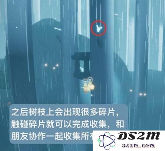 光遇重组季第五个任务在哪 重组季第五个任务位置介绍：寻找光明的旅程？ 探索神秘的空间