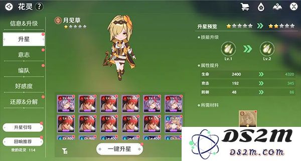 圣境之塔花灵养成攻略