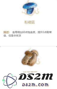 在妄想山海中如何高效完成采蘑菇任务的详细攻略与技巧分享
