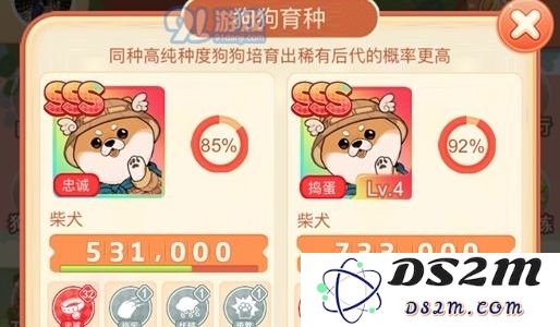 家居改造王：如何有效培养狗狗，让它们在家中更加乖巧和听话