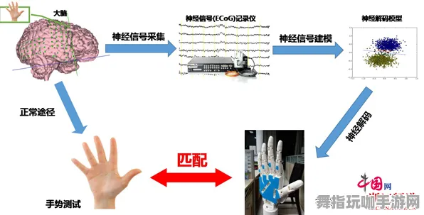 剧情深入剖析-脑机接口独家版-2025年4月最新更新-跨平台在线联机功能评测