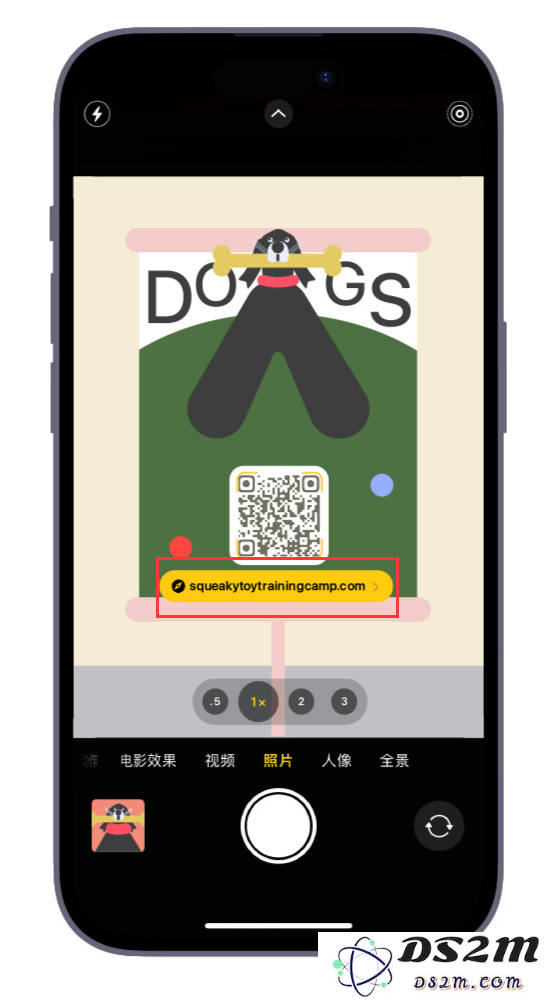 实用小技巧：iPhone 原生相机支持二维码扫描功能，探索更多隐藏优点