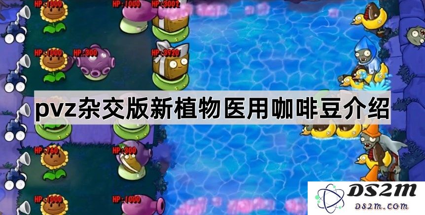 《植物大战僵尸杂交版》新植物介绍：神奇的医用咖啡豆助力战斗，增强防御与回复能力