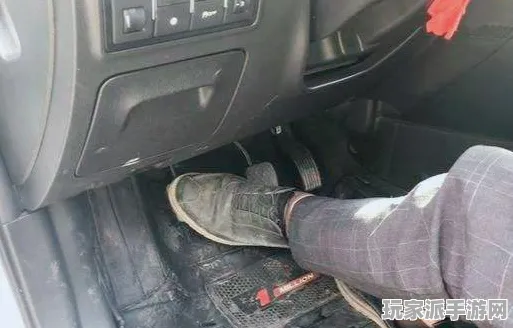 →全新指南：0 独家揭秘 新手玩家必备 全面分析｜联动活动 助你轻松上手｜攻略解析