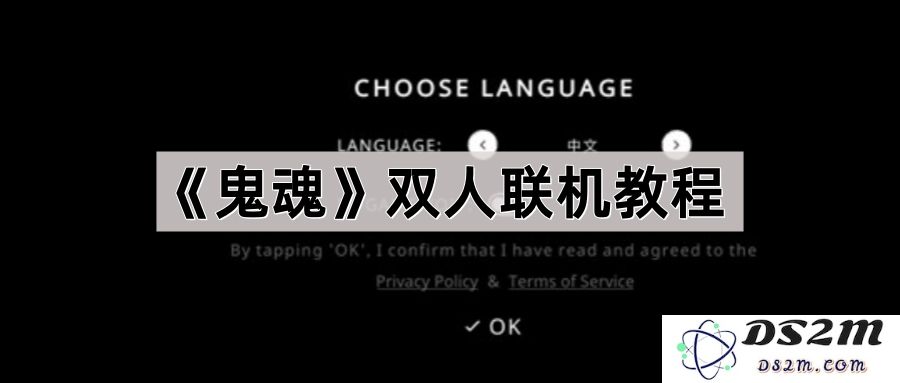 《鬼魂》游戏双人联机玩法全面解析与详细指导
