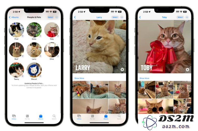 苹果 iOS 17 照片应用有哪些升级和改进？