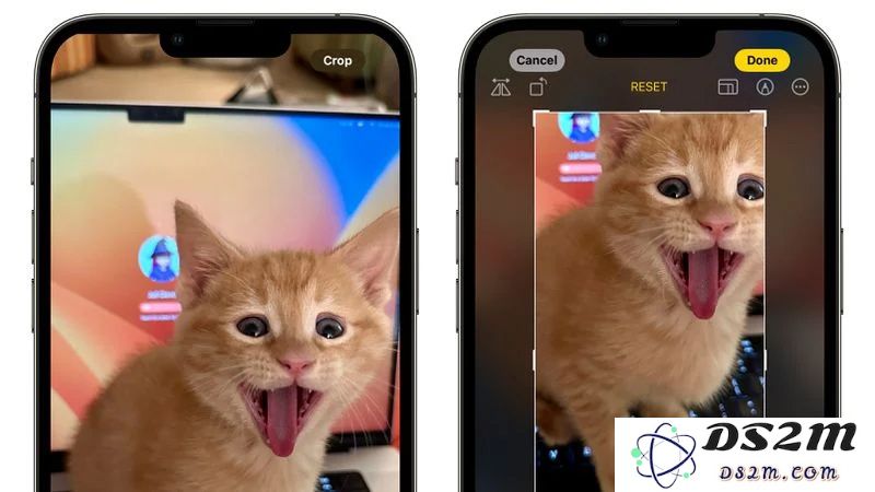 苹果 iOS 17 照片应用有哪些升级和改进？