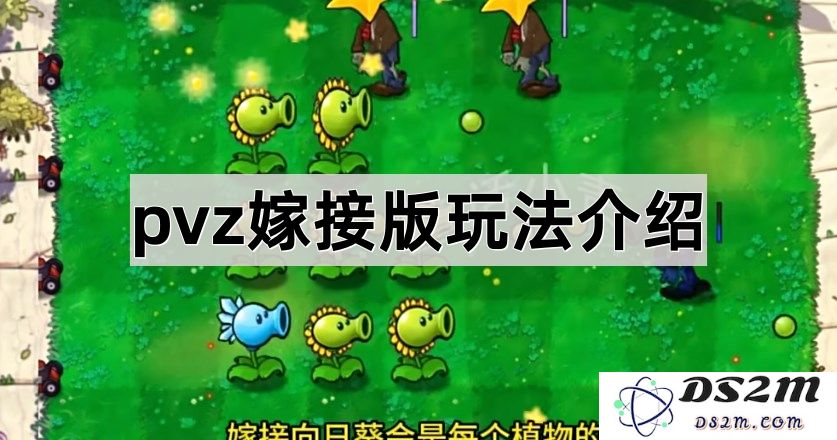 《植物大战僵尸嫁接版》全新游戏机制与玩法详细解析