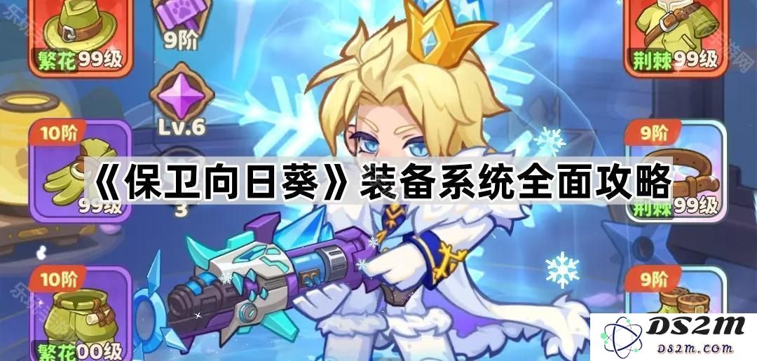 《保卫向日葵》装备系统详细解析与全面攻略指南，助你轻松应对挑战