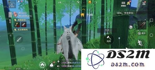 妄想山海中寻找竹子的位置及相关资源获取攻略解析