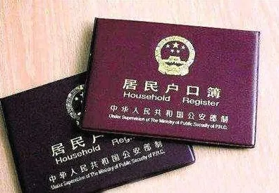 首度揭秘｜全面解析 2025年04月全新攻略，0 次冠军的背后故事