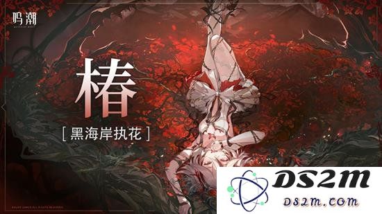 鸣潮椿怎么输出 鸣潮椿输出手法详细介绍：助你轻松掌握最佳输出技巧！