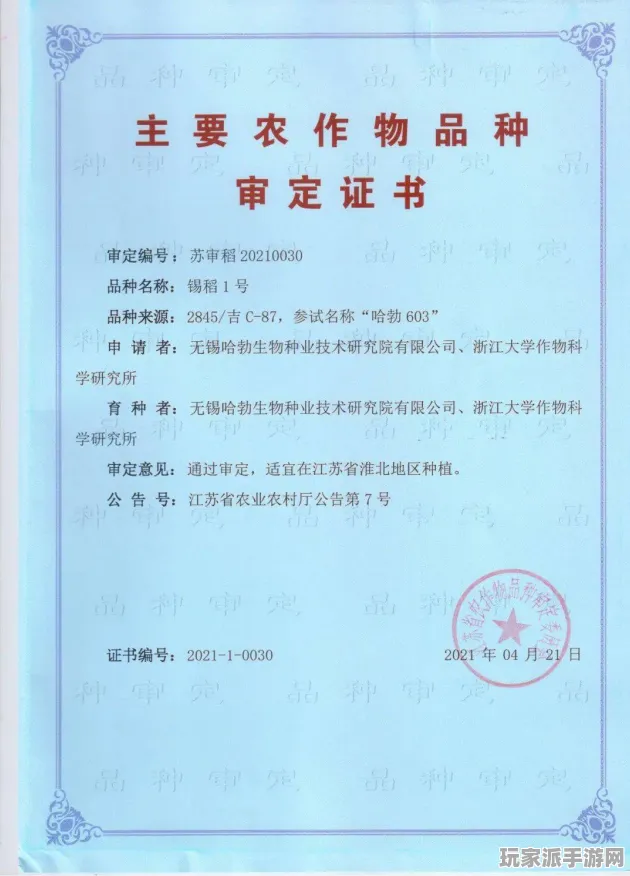 ｜首曝｜套路 最新攻略，1 刚刚｜周年庆｜攻略