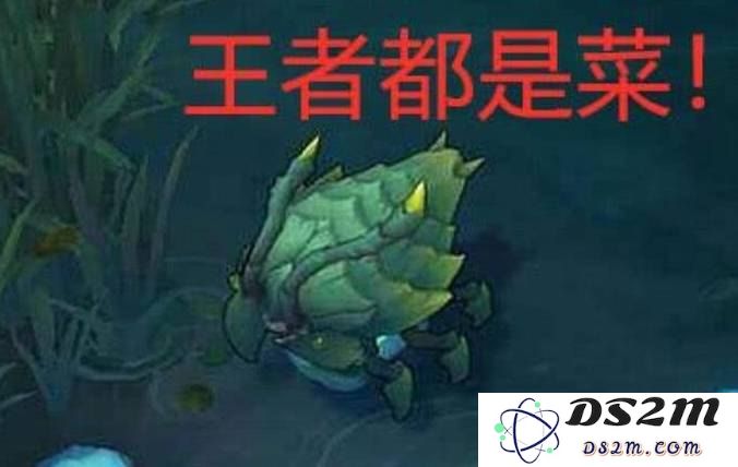 英雄联盟中的河蟹机制分析与玩家攻略：获取资源与经验的策略探讨