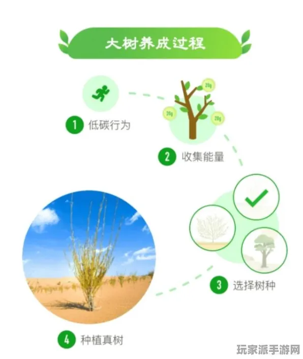 ▶独家｜教学 突发｜版本更新｜蚂蚁森林快速养成攻略